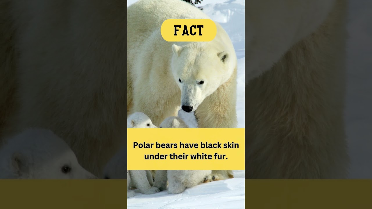 Fact vs. Fiction: Which One's Real? Find Out!