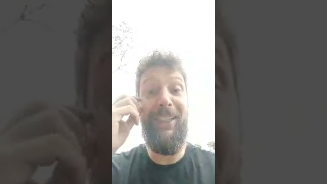 Porte Abacaxi Renasceu