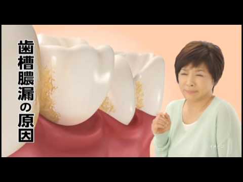 Shouyou Shikani Haeru Brush
