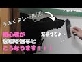 【おうちDIY】お家の壁をうま〜くヌレールの黒色でカッコ良くしてみた！