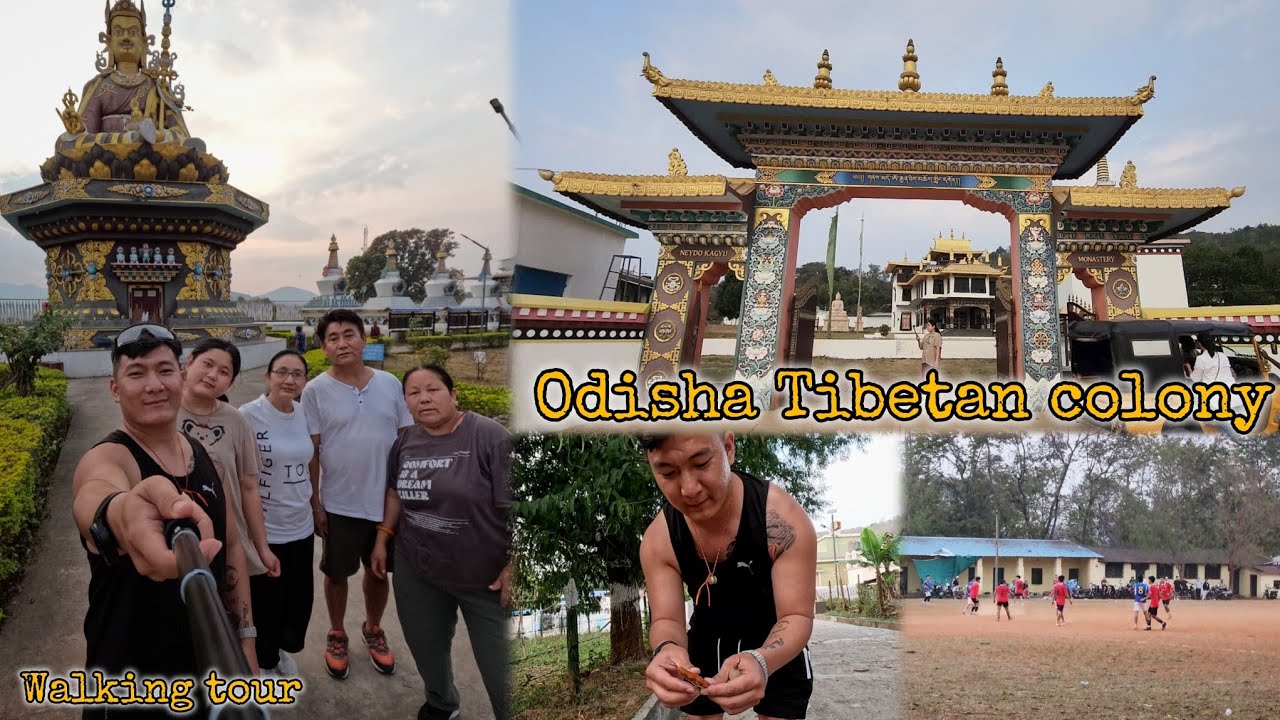 Odisha Tibetan Colony ~Walking Tour~ #tibetanvlogger