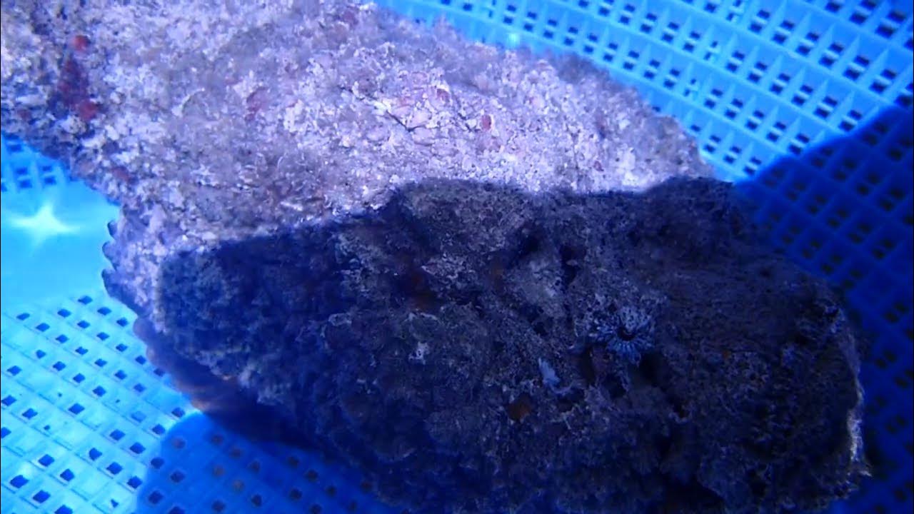 P8310076 - YouTube
