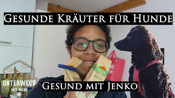 Welche Kräuter sind entzündungshemmend Hund?