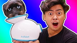 Trying Dog Gadgets You Never Knew About Trying Dog Gadgets You Never Knew About