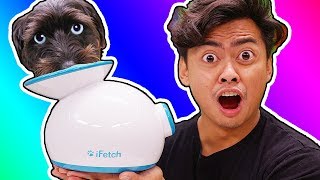 Trying Dog Gadgets You Never Knew About