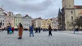 IMG 7495