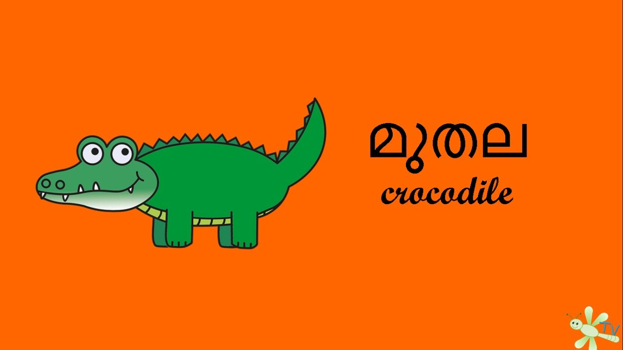 Learn Malayalam മലയാളം Animal Song for Kids Part 3 THUMBITV LEARN
