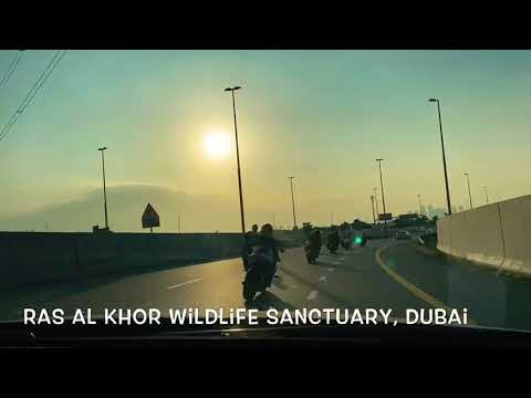Ras Al Khor Wildlife Sanctuary, Dubai