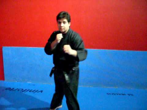 Aula de Kick - Mestre Eduardo Moraes