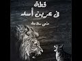 تلخيص رواية قطة في عرين أسد للكاتبة منى سلامة 