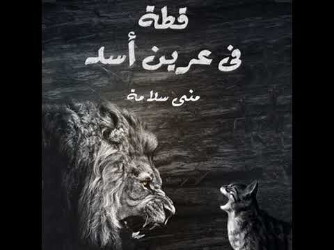 تلخيص رواية قطة في عرين أسد للكاتبة منى سلامة