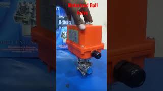 Motorized Ball Valve Screwed End Ip 67 Weather Proof Voltage 24 V Dc Or 230 V Ac Single Phase