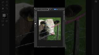 Famous Tips -- How to use remove tool In Adobe Photoshop 2025 #logo_academy Profile