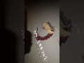 アナグマのロードキル片してきた