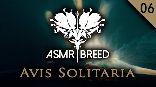 ASMR BREED 06 - VISUAL STRESS RELIEF MUSIC HYPNOSIS HARMONY