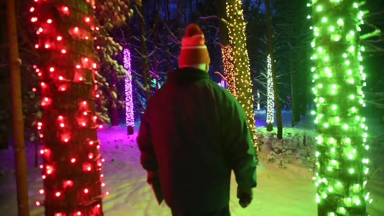 Wild Center - Wild Lights