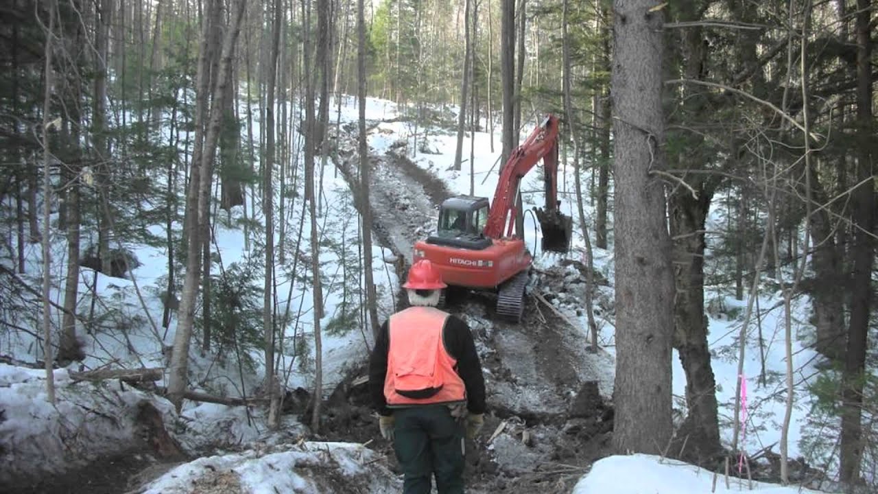 Ranger Minutes: Logging white mountains insurance group