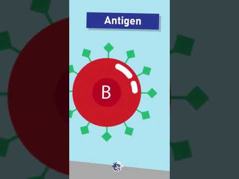 تعرف على فصيلة دمك و ما يميزها الجزء الأول