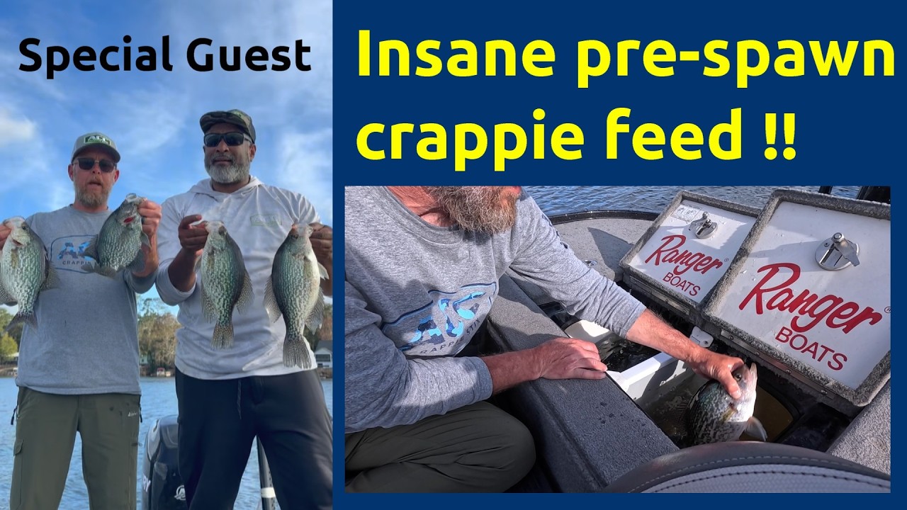 Insane Pre- Spawn Feeding Action with Mystery Guest #acccrappiestix #crappiefishing #livescope