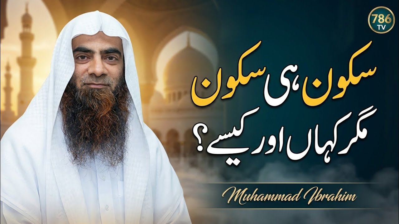 Sukoon Kahan Aur Kaise Milta Hai? | The Search for Inner Peace | Qaari Tauseef ur Rehman | 786 TV