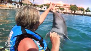 Dolphin Discovery Puerto Aventuras