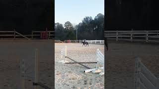 #ponypower #equestrianjourney #equestrian #mylitlepony #ponyrider #horsegirl #learning #youngriders