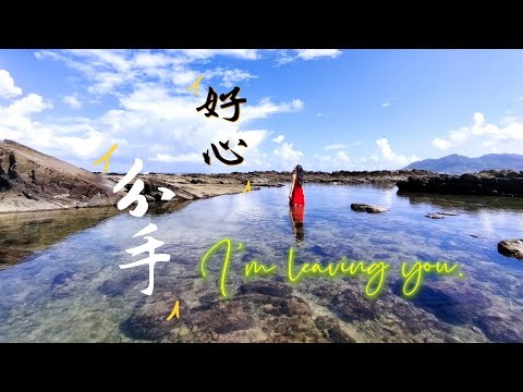 《好心分手》王力宏/盧巧音 經典歌曲欣賞