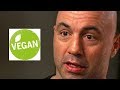 "JOE ROGAN BRINGS UP VEGAN MORE THAN I DO" - Rich Roll