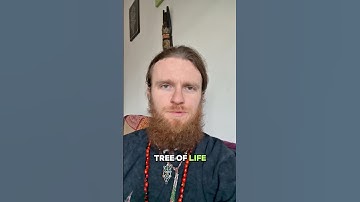 How to REALLY Initiate the Tree of Life #occult #kabbalah #hermeticism #awakening #treeoflife