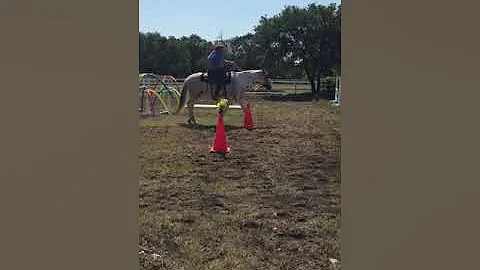 WSHE virtual obstacle challenge #1  #132 Debra Ful...