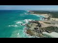 Story of the great southern reef australias underwater forests