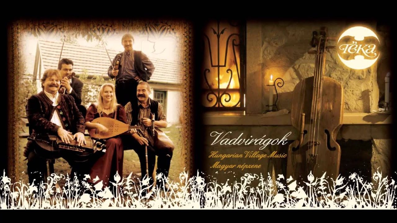 Téka együttes - 08 Ritka magyar (Mezőkeszü)