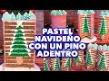 PASTEL NAVIDEÑO CON UN PINO ADENTRO. EXPECTATIVA/REALIDAD.