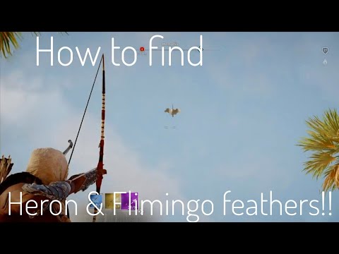 How to find Heron and Flamingo feathers |  Assassin's Creed Origins