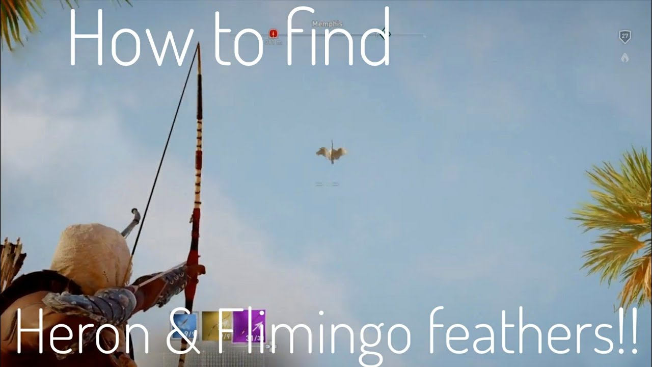 How to find Heron and Flamingo | Assassin's -