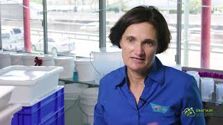 Phone Systems Brisbane - People In Plastics Testimonial