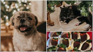 Giveaways & MY LAST FINAL | Vlogmas 12