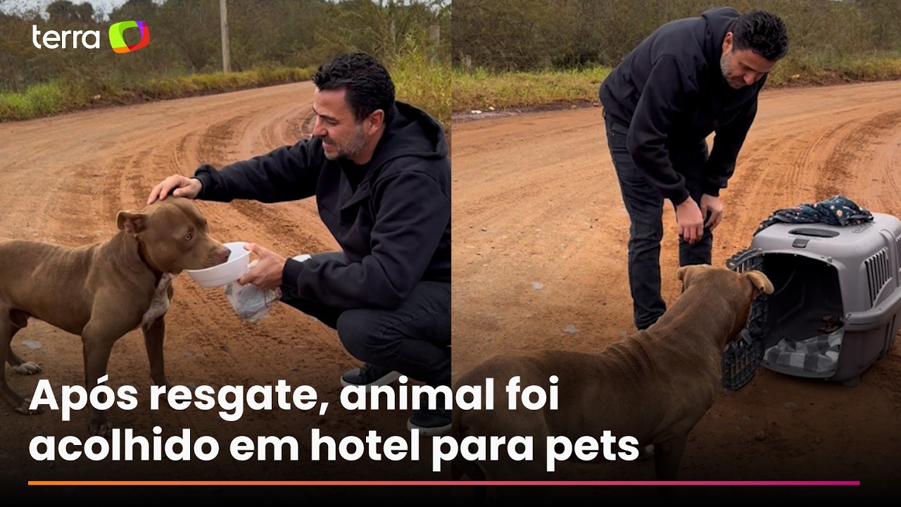 Abandoned Pitbull rescued after days facing the cold in Rio Grande