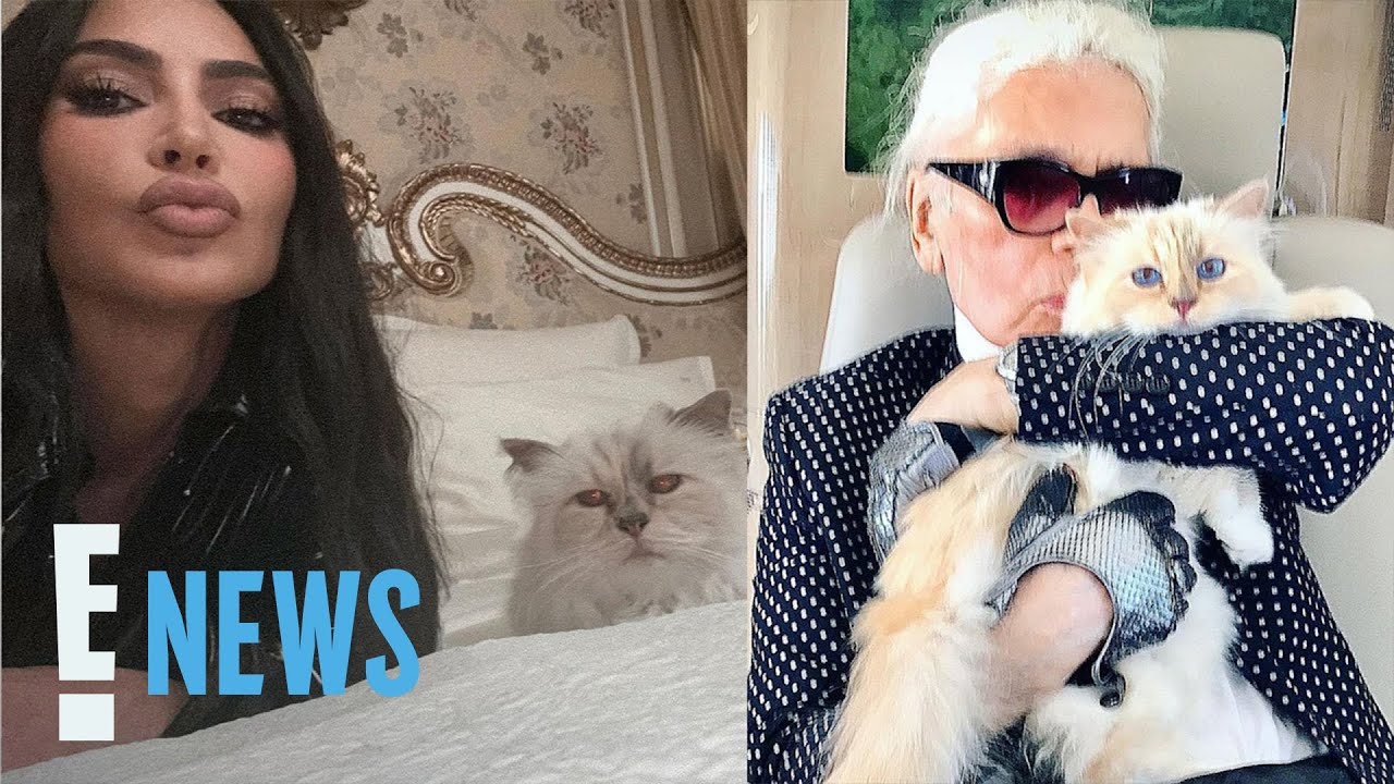 Who's Going to the Met Gala Dressed as Karl Lagerfeld's Cat?