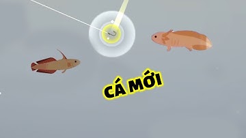 Fishing Life - lâu rồi không chơi (cá mới)