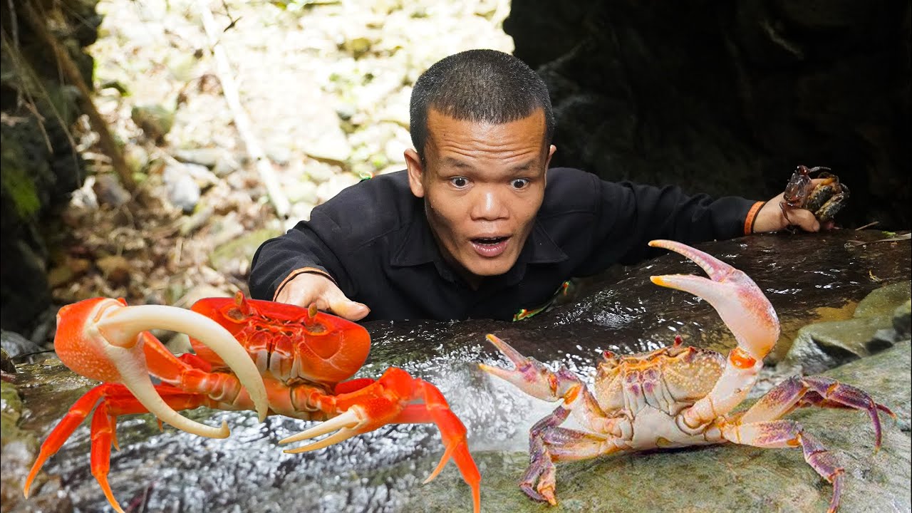 Dwarf Family Catch Giant Crabs in Mountains | Cooking and Eating Giant Crabs | Survival in the Wild