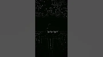 العين يا نور العين للشوف تواقه 