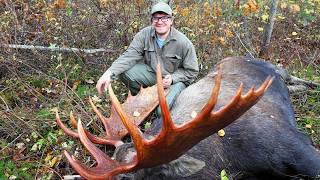 Successful Alaskan Moose Harvest: FULL 2026 SEASON