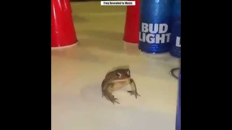 Frog revealed to music: BFG Division (DOOM 2016)