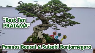 Download Lagu Hasil Penilaian Best Ten PRATAMA Pamnas Bonsai \u0026 Suiseki Banjarnegara  MP3