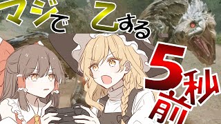 【縛りプレイ/MHSB】魔理沙うしろ、うしろ!#ゆっくり実況 #モンスターハンターサンブレイク