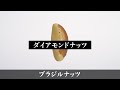 【ブラジルナッツ/BRAZIL NUT】ナッツ専門店Groovy Nutsが解説します