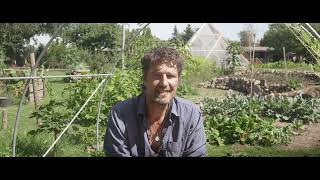 Intelligence VS wisdom from the Paradise of plenty
