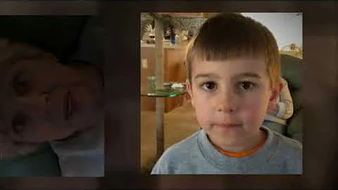 Hal's Video