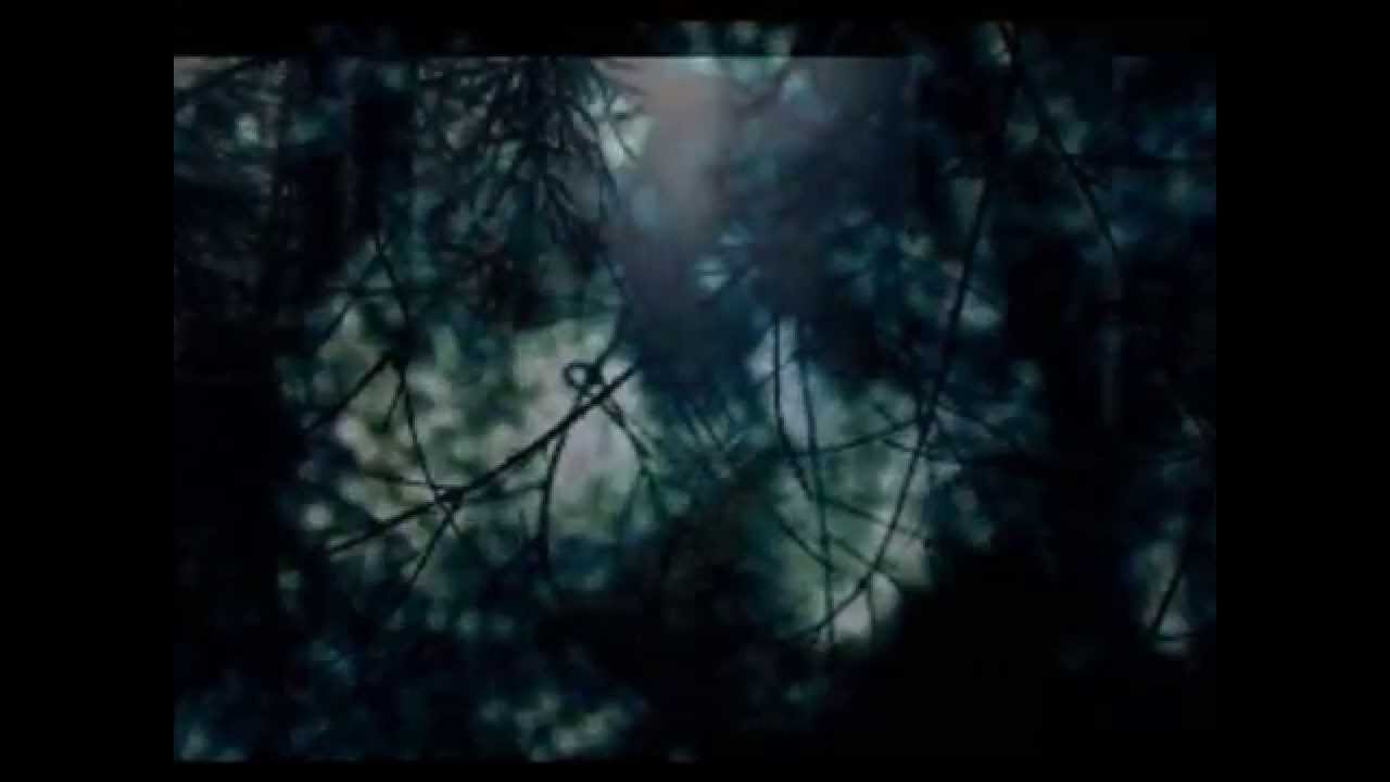 Watch archive - ladders - 2015 - new song (restriction) with lyrics on YouTube Watch archive - ladders - 2015 - new song (restriction) with lyrics on YouTube